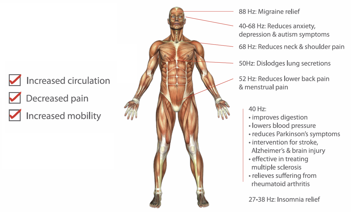 mylotusmat Vibroacoustic Acupressure Pillow